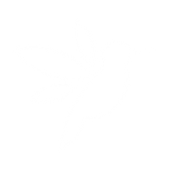 colibri