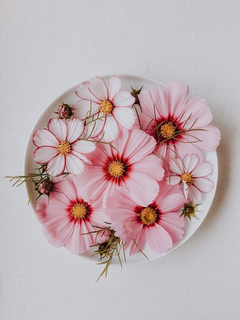 Fleurs - assiette - ouvertes